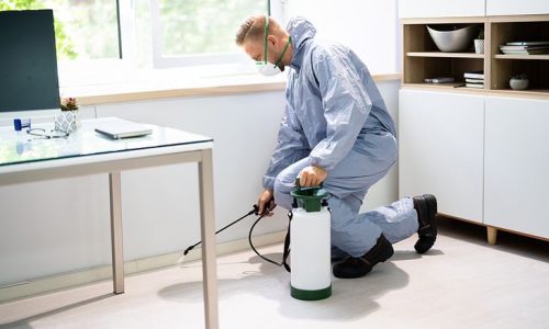 Professional Pest Control Services In Coburg _ Multi Pest Control
